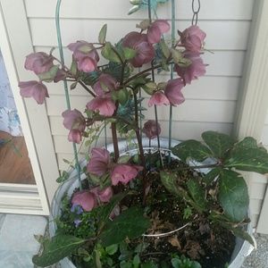 Meet your Posher, Leanne